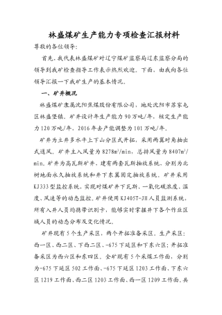 林盛煤矿生产能力专项检查汇报材料