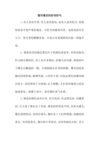 描写菊花的好词好句