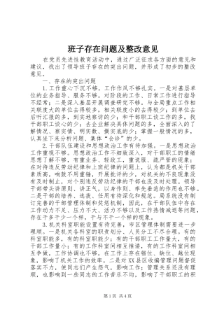 班子存在问题及整改意见