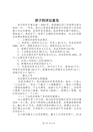 班子的评议意见