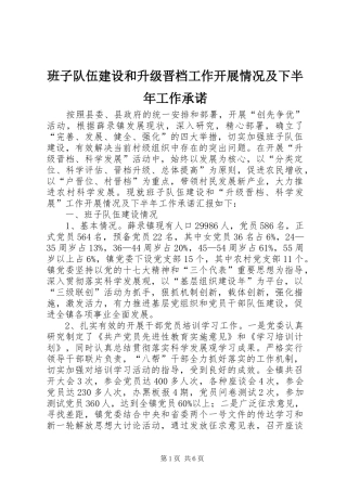 班子队伍建设和升级晋档工作开展情况及下半年工作承诺