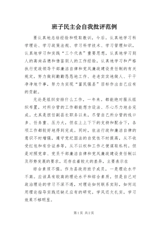 班子民主会自我批评范例