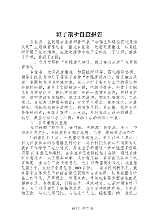 班子剖析自查报告