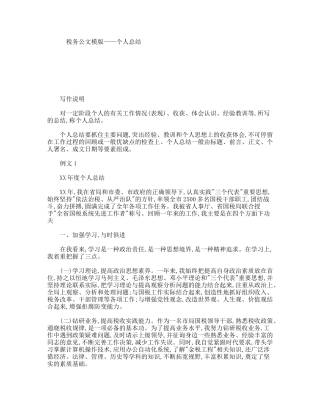 税务公文模版——个人总结