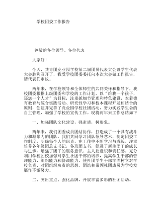 学校团委工作报告