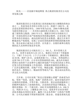 阳光在创新中铸造辉煌 热力集团有限责任公司改革发展之路