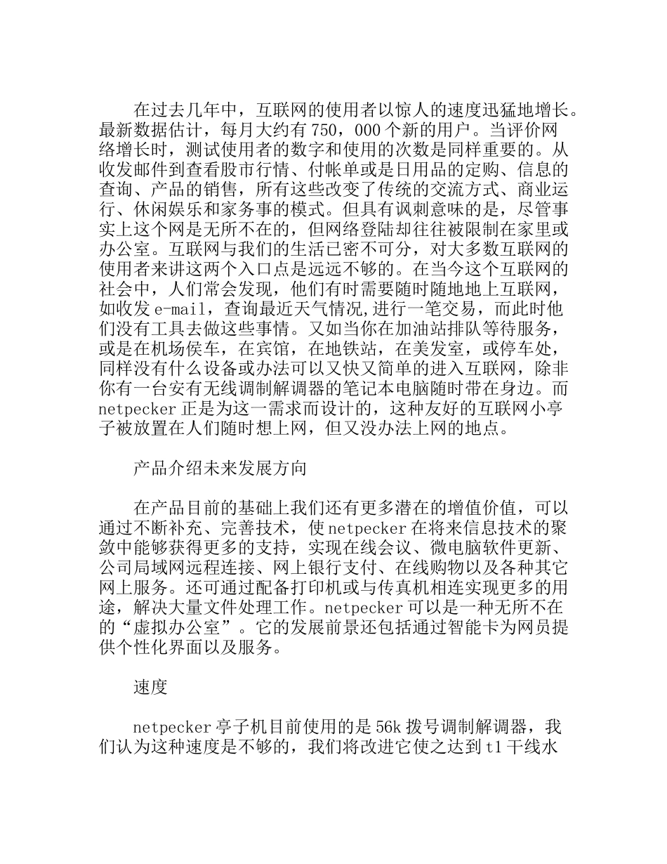 Netpecker公司商业计划书范例_第1页