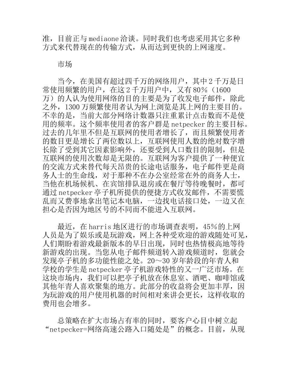 Netpecker公司商业计划书范例_第2页