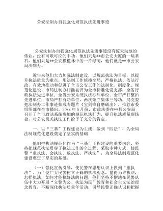 公安法制办自我强化规范执法先进事迹