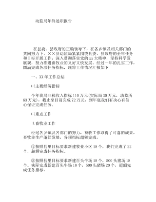 动监局年终述职报告
