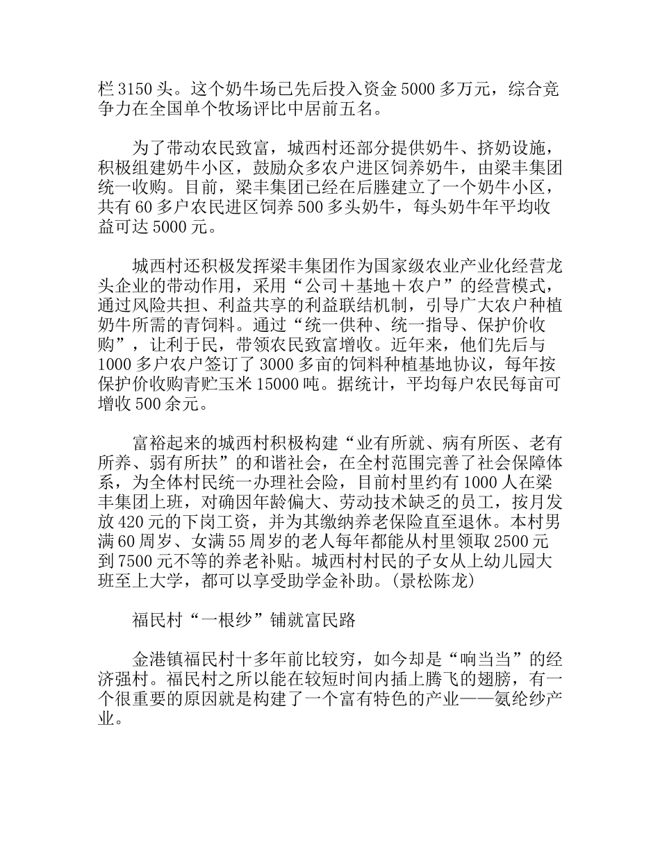 港城新农村建设考察报告新产业篇_第2页