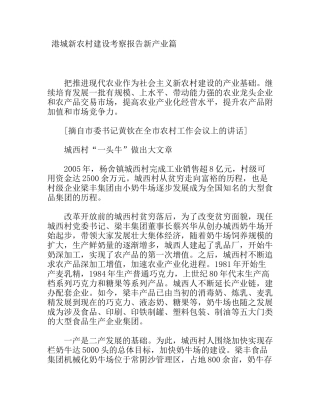 港城新农村建设考察报告新产业篇