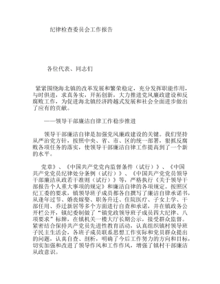 纪律检查委员会工作报告