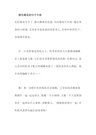 描写菊花的句子片段