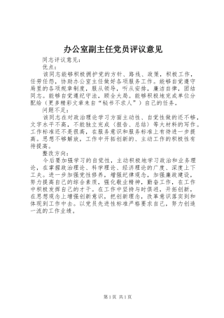 办公室副主任党员评议意见