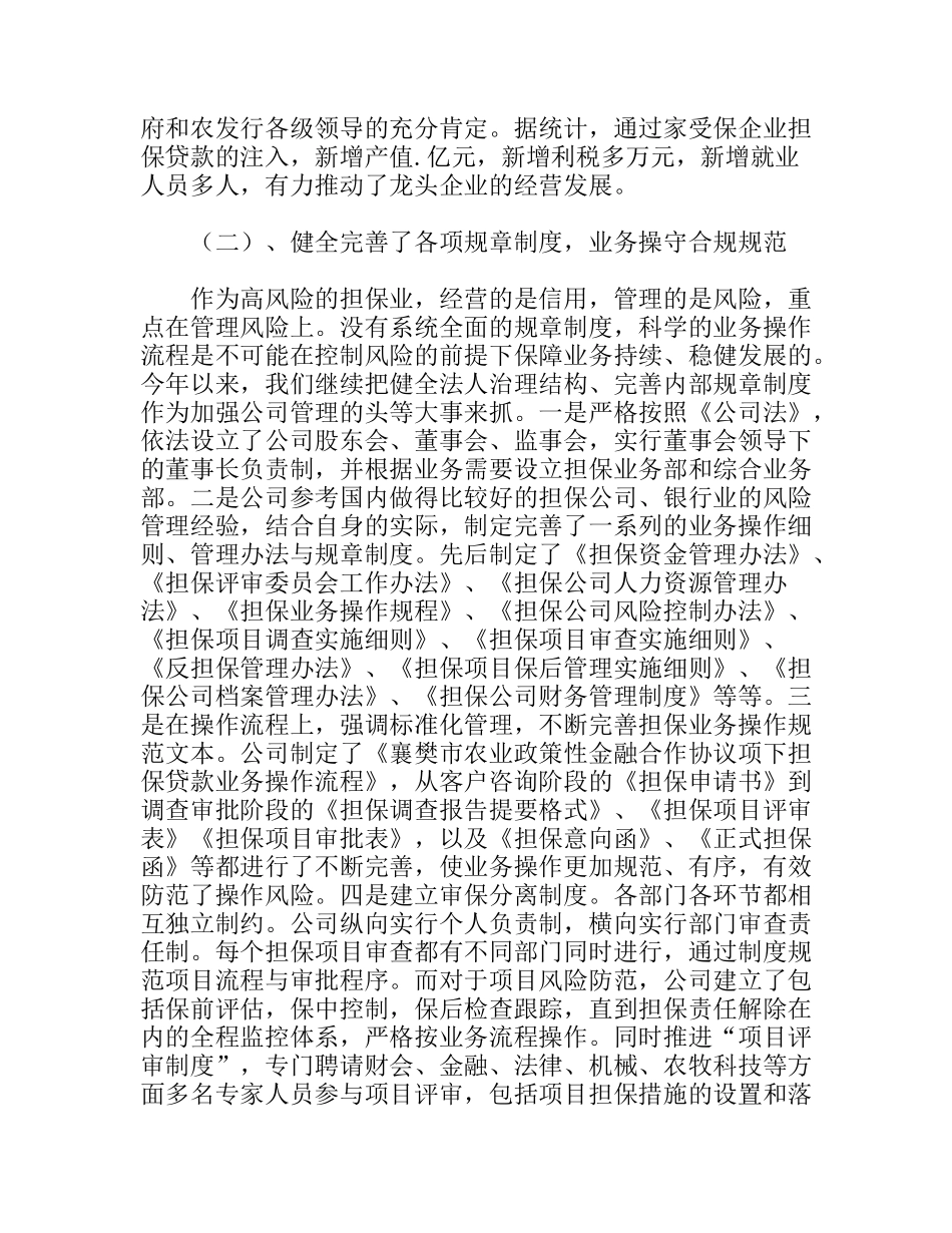 农业信用担保公司年度总结_第2页