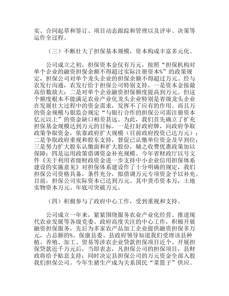 农业信用担保公司年度总结_第3页