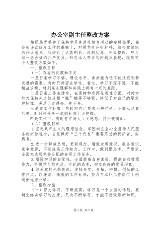办公室副主任整改方案
