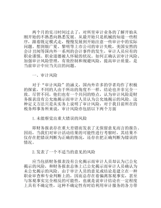 试论审计风险及其防范审计实习报告(注册会计)