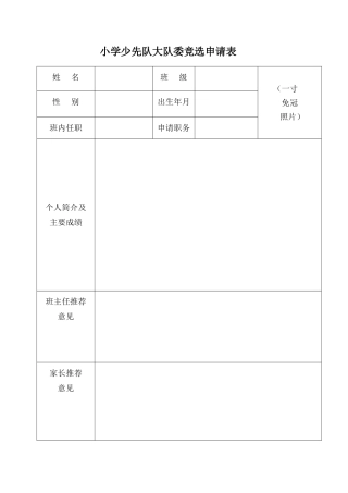 小学少先队大队委竞选申请表