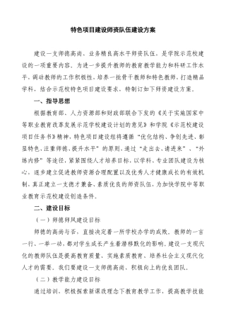 特色项目建设师资队伍建设方案