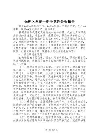 保护区系统一把手党性分析报告