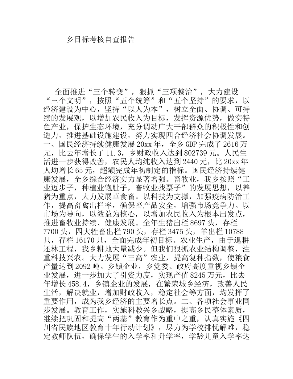 乡目标考核自查报告_第1页