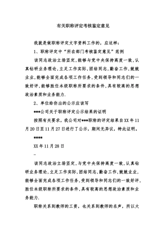 有关职称评定考核鉴定意见