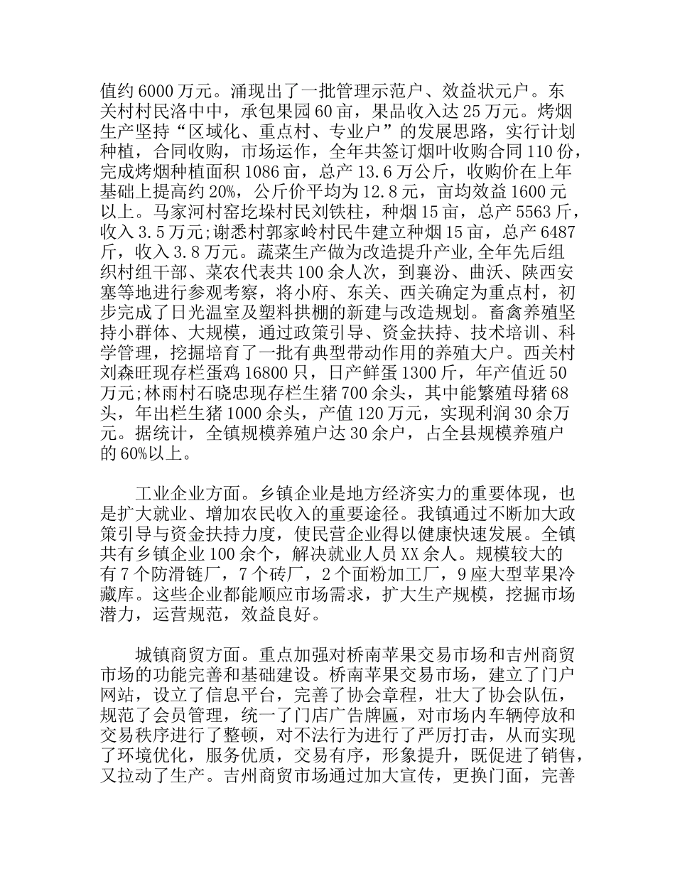镇长在镇经济工作会议上的讲话_第2页