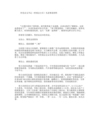 村党总支书记（村委会主任）先进事迹材料