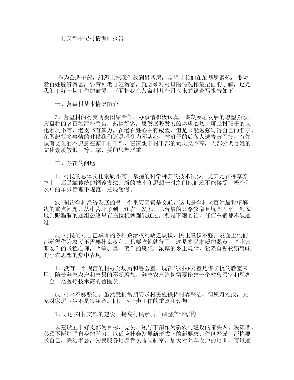 村支部书记村情调研报告_第1页