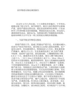 农作物爱灾情况调查报告