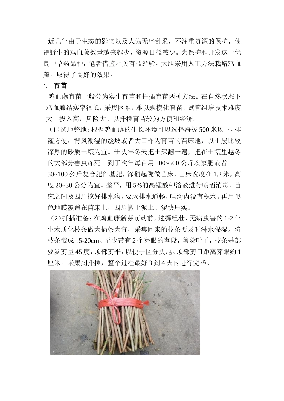鸡血藤人工种植技术_第2页