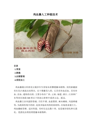鸡血藤人工种植技术