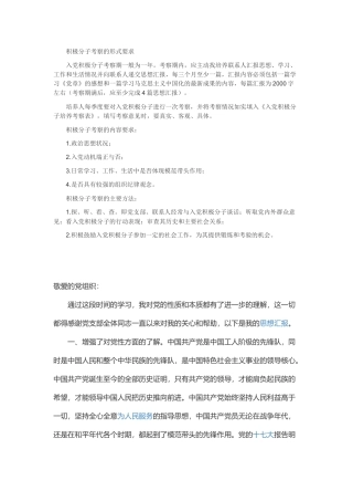 积极分子考察的形式要求