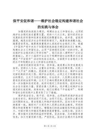 保平安促和谐维护社会稳定构建和谐社会的实践与体会