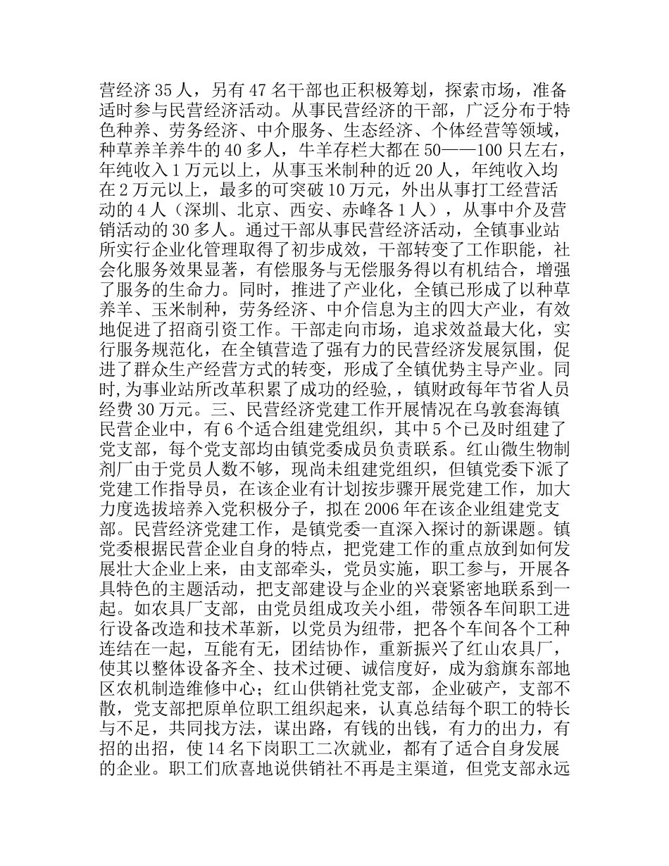 深入推进“旗域经济民营化”战略问题调研报告_第3页