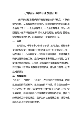 小学音乐教师专业发展计划