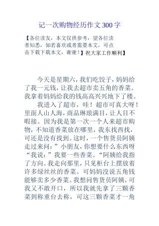 记一次购物经历作文300字