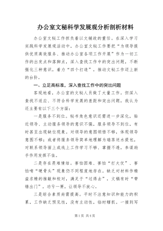 办公室文秘科学发展观分析剖析材料