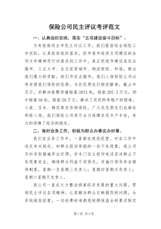 保险公司民主评议考评范文