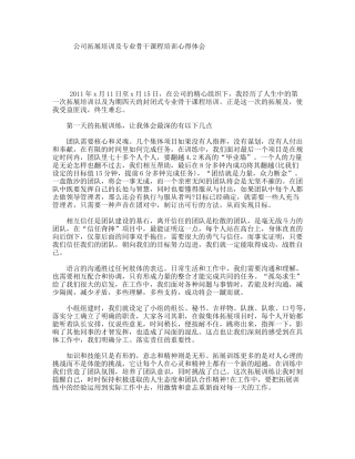 公司拓展培训及专业骨干课程培训心得体会