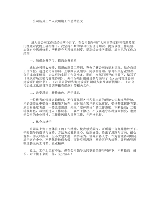 公司新员工个人试用期工作总结范文