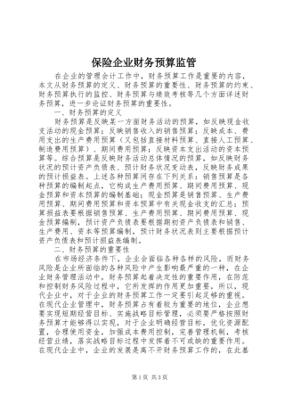 保险企业财务预算监管