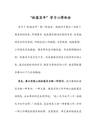 “抓落实年”学习心得体会