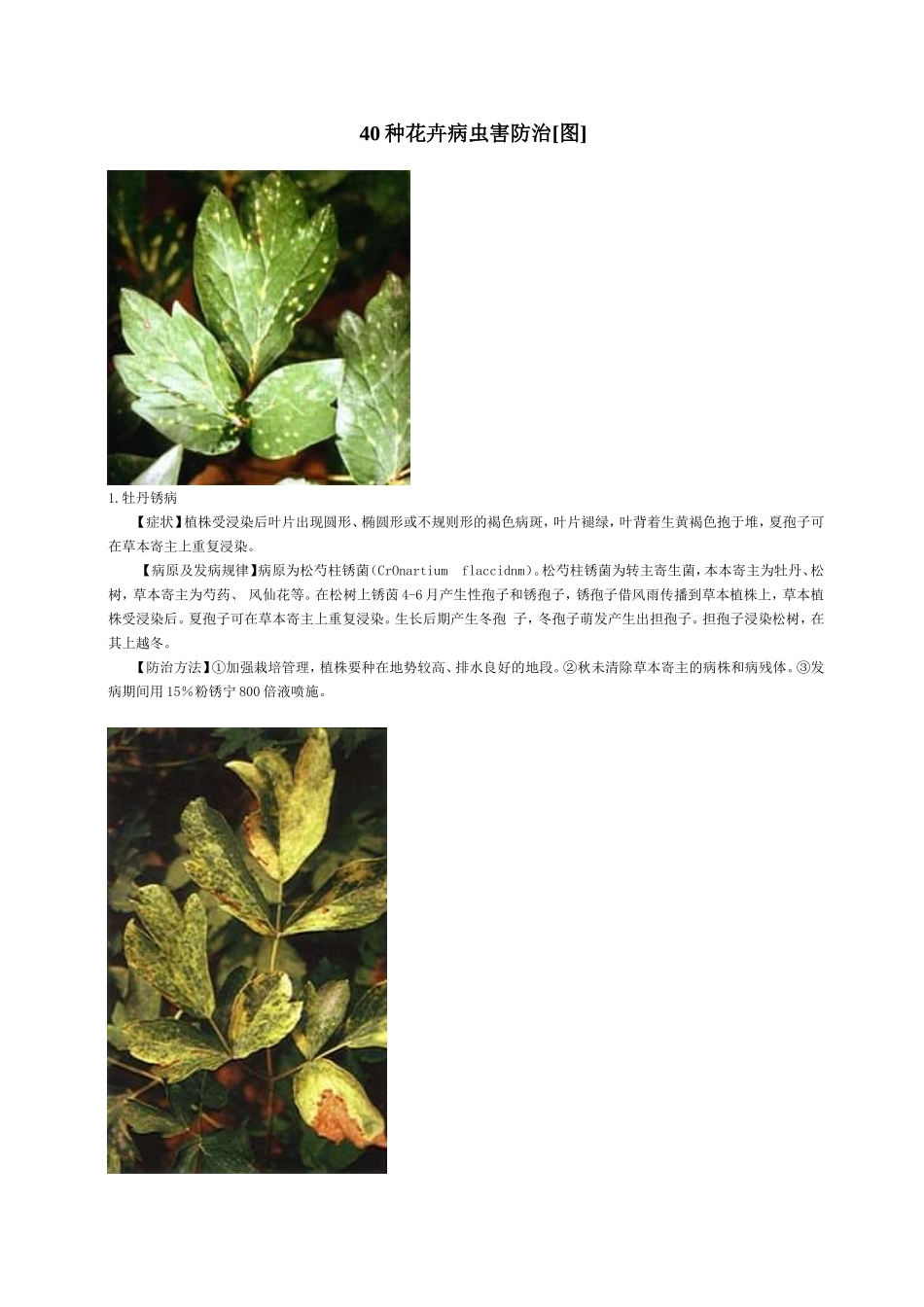40种花卉病虫害防治[图]_第1页