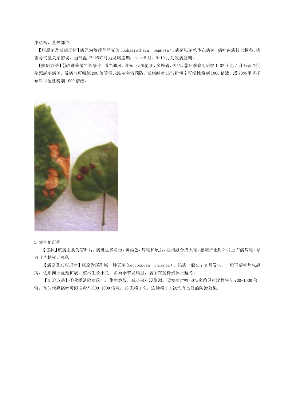 40种花卉病虫害防治[图]_第3页