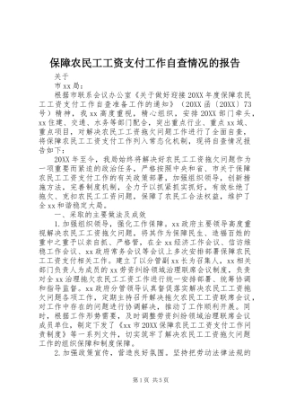 保障农民工工资支付工作自查情况的报告