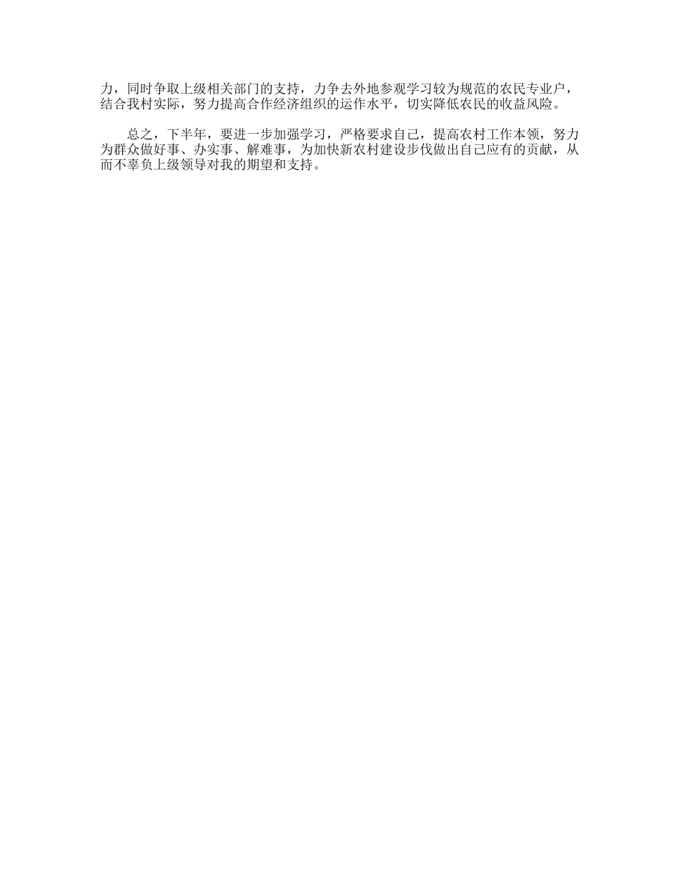 2009年下半年大学生村官个人工作计划_第2页
