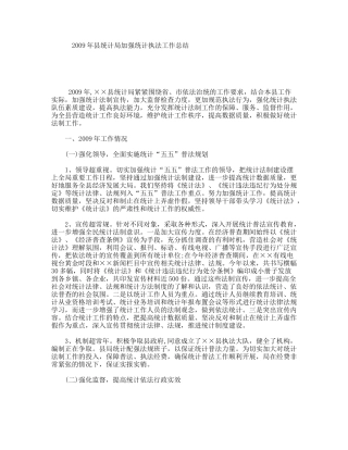 2009年县统计局加强统计执法工作总结